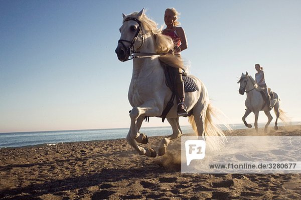 Zwei Frauen auf Pferden am Strand