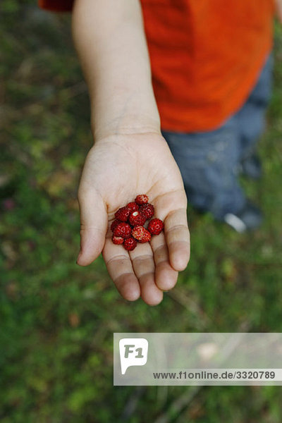 Detail eines Jungen mit wilden Erdbeeren