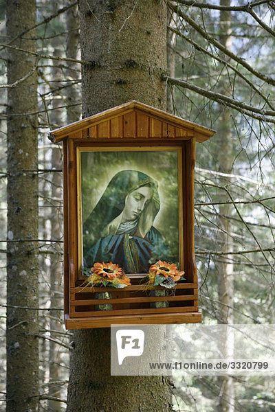 Heiligtum der Jungfrau Maria am Baum im Wald