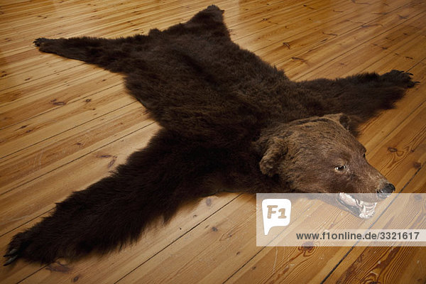 Ein Bärenfellteppich auf Holzdielen