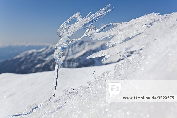 Icicles at Zwerfenberg Schladminger Tauern Styria Austria