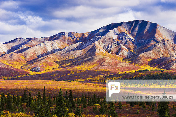 Herbstfarben und Fang Berg  Denali-Nationalpark in Alaska