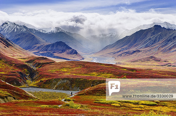 Fall colours and Alaska Range  Denali National Park  Alaska
