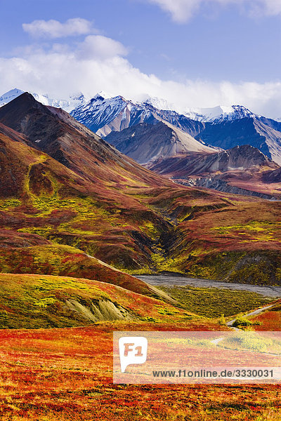 Herbstfarben und Alaska Range  Denali-Nationalpark in Alaska