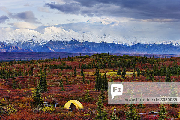 Zelt am Wonder See Campingplatz  Mount McKinley und Alaskakette im Hintergrund  Denali-Nationalpark in Alaska