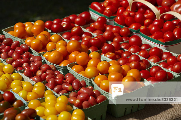 Verschiedene Arten von frischen Tomaten  Riverdale Bauernmarkt  Toronto  Ontario
