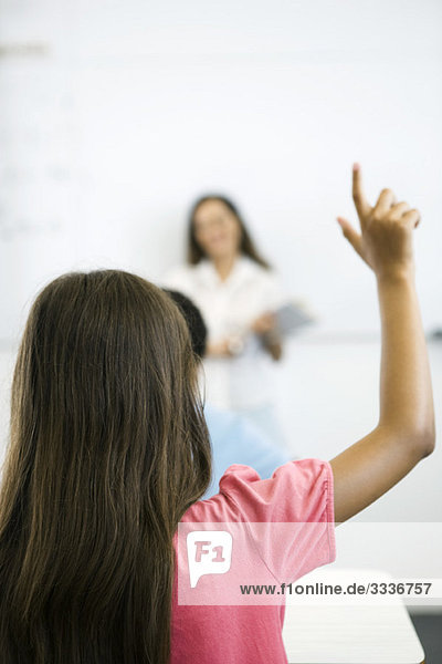 Elementary school student raising hand in class  rear view
