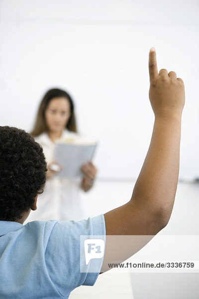 Elementary school student raising hand in class  rear view