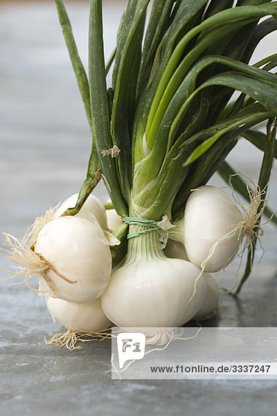 Spring onions