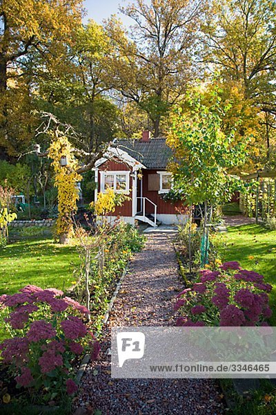 Allotment-garden cottage in autumn sun  Sweden.