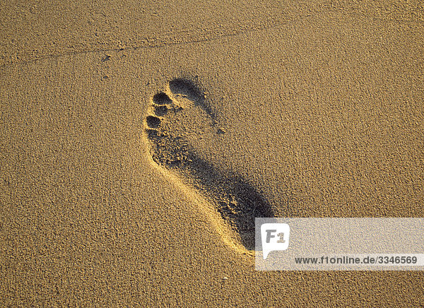 Einer Präsenz in Sand Norwegen.