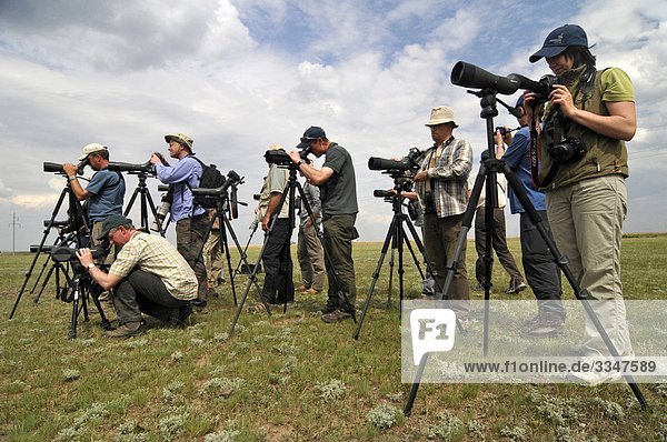 Kazakhstan  group of birdwatchers