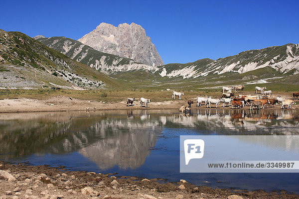 Nationalpark Hintergrund Berg Großmutter Italien