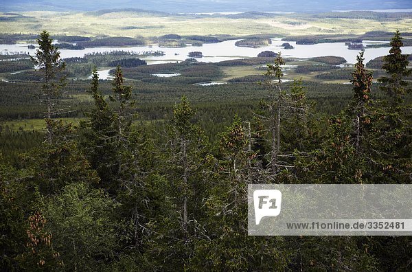 Luftbild von einem riesigen Waldlandschaft  Schweden.