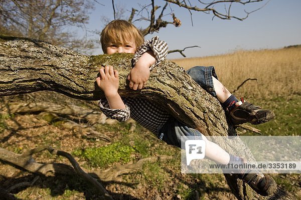 Ein Junge hielt an einen Zweig  Schweden.