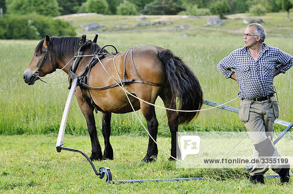 Ein Bauer mit einem Pferd  Schweden.
