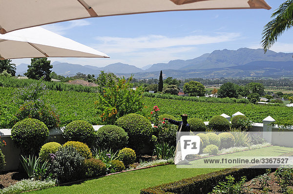 10863735  Grande Roche Relais & Chateaux Hotel  Paarl  Western Cape  South Africa  hotel  resort  tourism  tourist  travel  vacation  holiday  green  park  plants  landscape  man  employee  staff