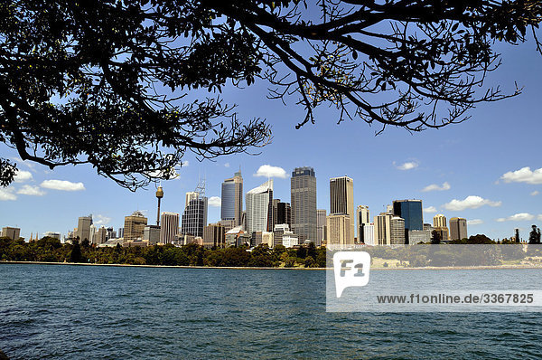 10864336  Sydney  Australia  city  travel  vacation  high-rise buildings  Harbour  harbor  Summer  Skyline  Water