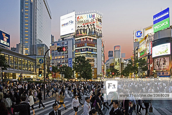 10865157  Japan  Asia  Tokyo  town  city  Shibuya District  in the evening  pedestrian  traffic  passer-by  building  construction  neon lights  crowd of people