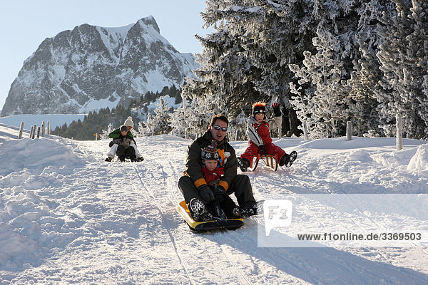 10870449  Switzerland  winter sports  family  to go sledging  winter  snow  canton Bern  Gurnigel  sledge  sleigh  persons  mountains  Gantrischgebiet