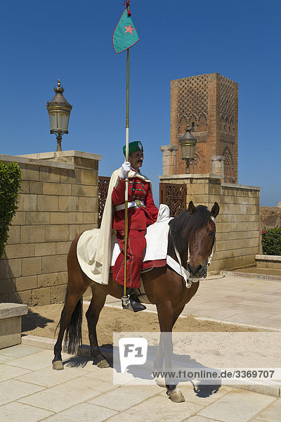 Schutz auf dem Pferd am Mohamed V Mausoleum  Rabat  Marokko