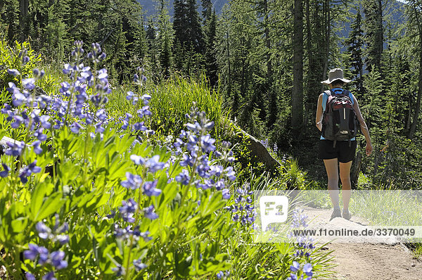 Wanderer auf Blue Lake Trail  North Cascades National Parks  Washington  USA