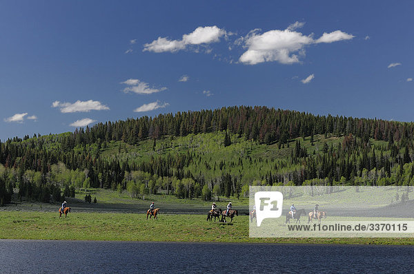 10872574  Horseback riders at Lake  Flying A Ranch  Pinedale  Wyoming  USA  mountains