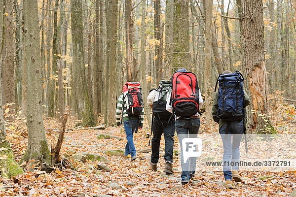 Young people hiking through forest