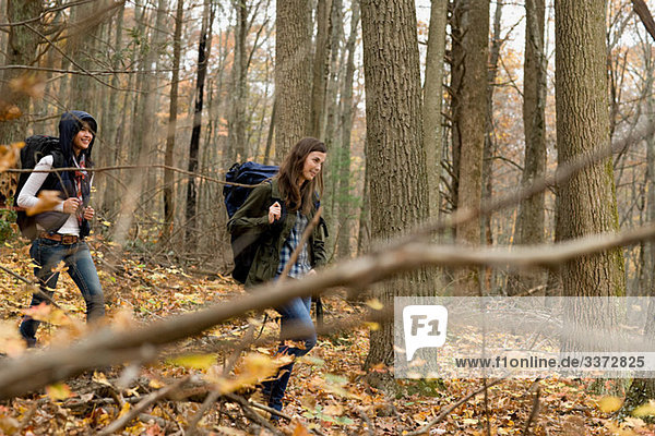 Junge Frauen wandern durch den Wald