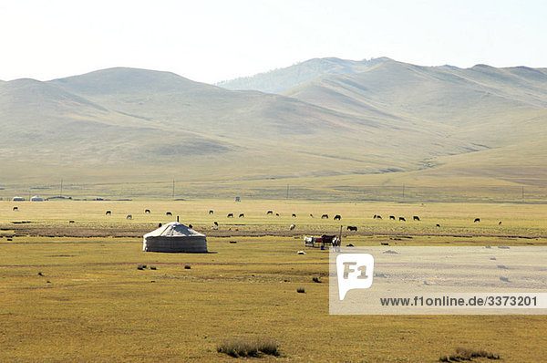 Mongolian steppes landscape