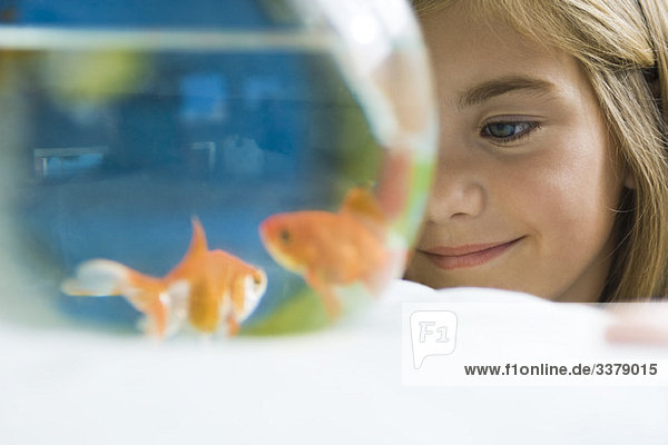 Kinder beobachten Goldfische schwimmen im Fischglas