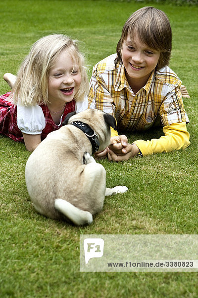 Boy  girl and pug on lawn