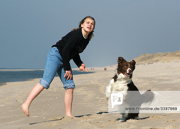 Mädchen spielt mit Border Collie am Strand  Sylt  Deutschland