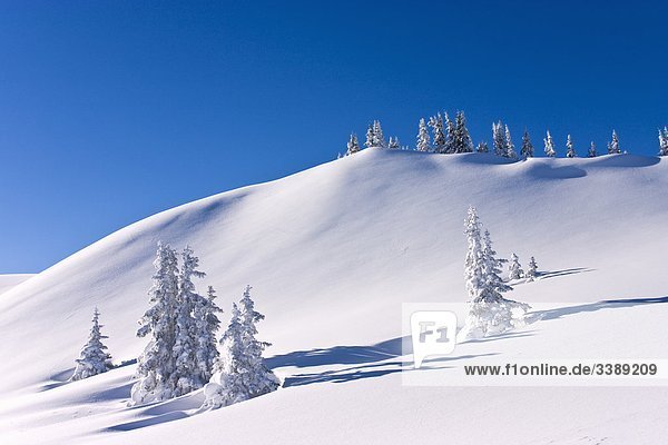 Winterlandschaft am Schneeberg, Mühlbach am Hochkönig, Österreich