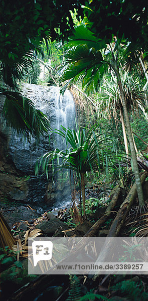 Wasserfall in die djungel