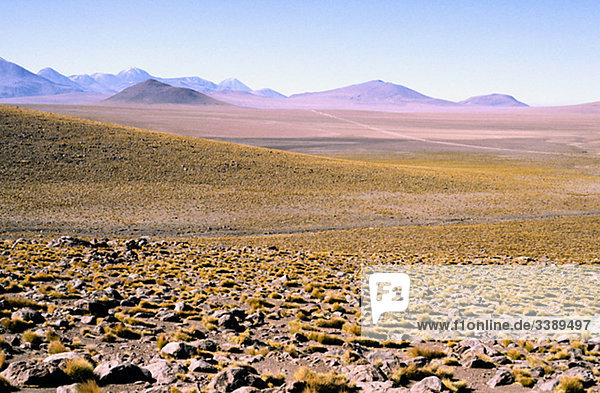 Die Atacamawüste  Chile.