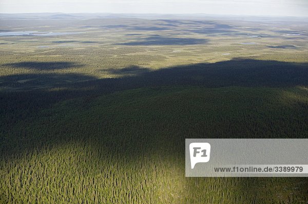 Blick über eine breite Woodland  Lappland  Schweden.