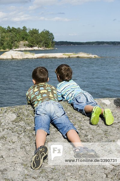 Zwei jungen liegen auf einem Felsen  Schweden.