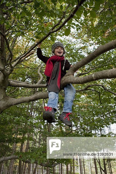 Junge auf einem Baum