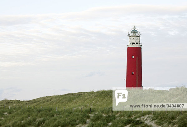 Leuchtturm auf einer Düne am Strand von Texel  Niederlande