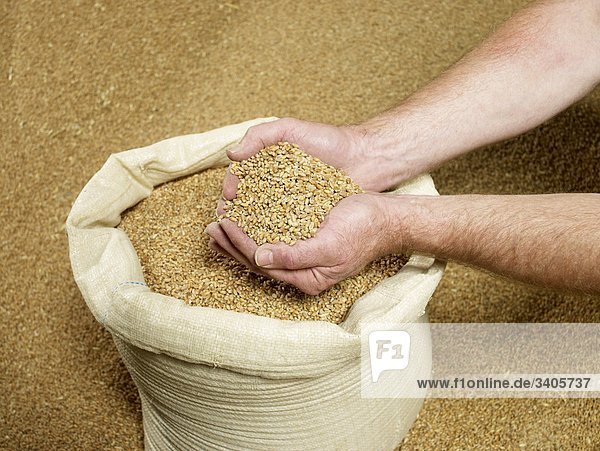 Wheat in a bag