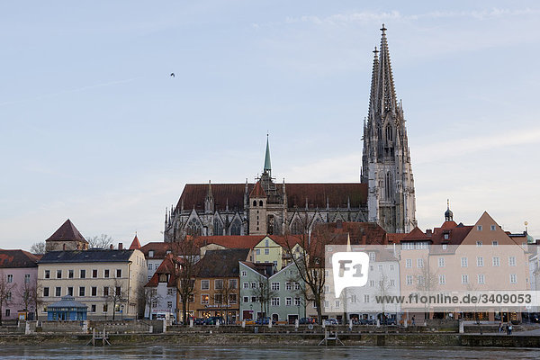 View of St. Peters Cathedral  Regensburg  Germany