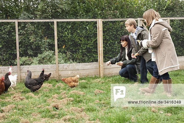 Mutter und Kinder beim Füttern von Hühnern