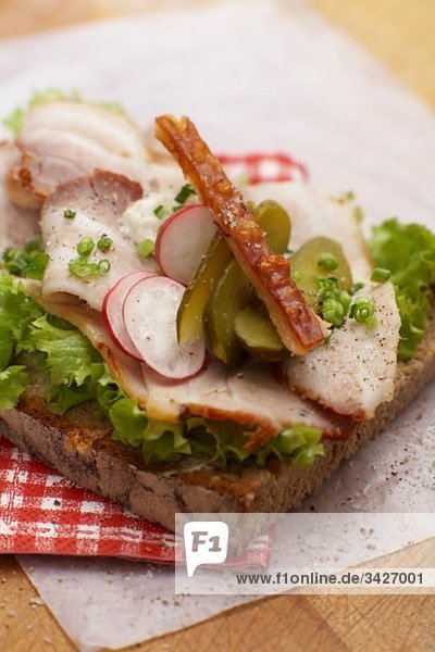 Sandwich mit Schweinebraten  Kruste  Rettich und Schnittlauch  erhöhte Aussicht