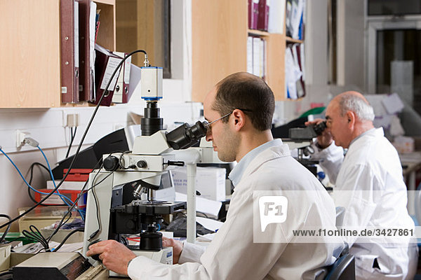 Lab technicians using microscopes