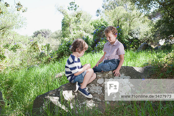 Two boys sitting on a rock