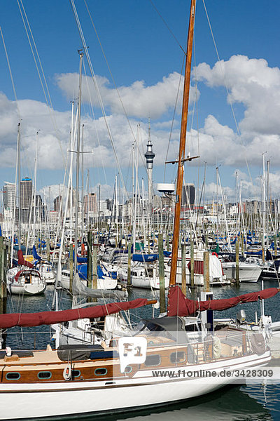 Yachthafen Westhaven  Auckland