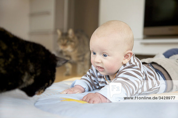 Baby und zwei Katzen auf einer Decke auf dem Boden