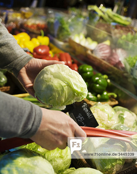 Skandinavien  Schweden  Stockholm  Person auswählen Gemüse in der Markt  Nahaufnahme