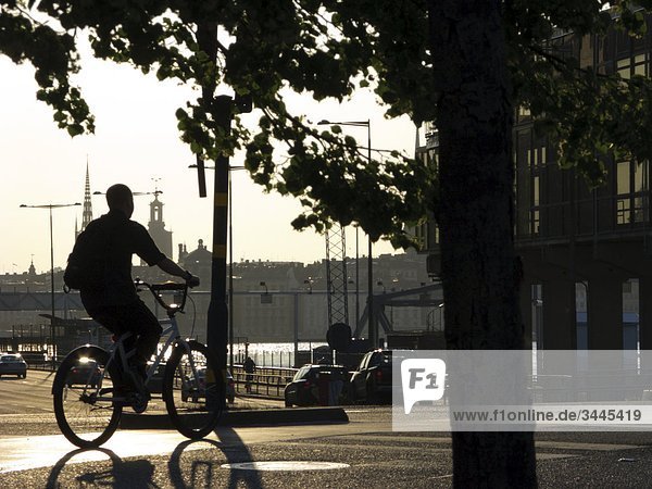 Scandinavia  Sweden  Stockholm  Silhouette of person riding bicycle on street